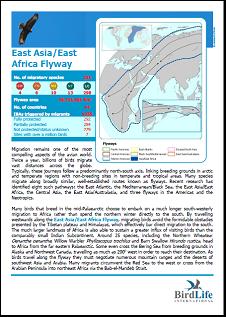 East Asia & East Africa Flyway